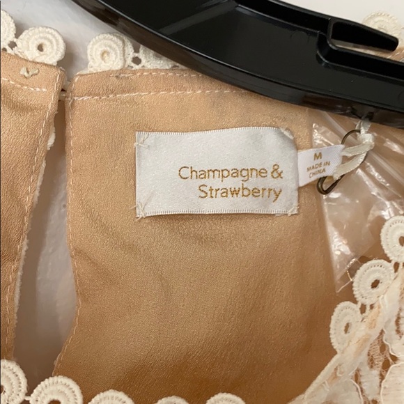 Champagne & Strawberries Vintage Romance Dress - Picture 5 of 6